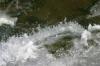 <img100*0:stuff/z/169023/falls6/i1279840431_4.jpg>