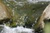 <img100*0:stuff/z/169023/falls6/i1279840432_11.jpg>