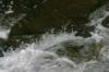 <img100*0:stuff/z/169023/falls6/i1279840432_14.jpg>
