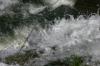 <img100*0:stuff/z/169023/falls6/i1279840432_9.jpg>