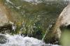 <img100*0:stuff/z/169023/falls6/i1279840433_17.jpg>