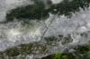 <img100*0:stuff/z/169023/falls6/i1279840434_32.jpg>