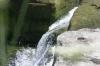 <img100*0:stuff/z/169023/falls7/i1279840458_15.jpg>