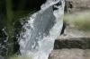<img100*0:stuff/z/169023/falls7/i1279840458_16.jpg>