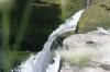 <img100*0:stuff/z/169023/falls7/i1279840458_21.jpg>