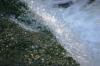 <img100*0:stuff/z/169023/falls8/i1279842455_21.jpg>