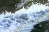 <img100*0:stuff/z/169023/falls9/i1279842539_12.jpg>