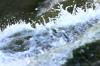 <img100*0:stuff/z/169023/falls9/i1279842539_6.jpg>