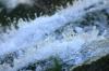 <img100*0:stuff/z/169023/falls9/i1279842540_18.jpg>