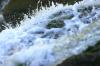 <img100*0:stuff/z/169023/falls9/i1279842540_36.jpg>