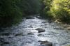 <img100*0:stuff/z/169023/fallsm/i1279903061_2.jpg>