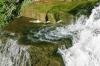 <img100*0:stuff/z/169023/fallsm/i1279903061_4.jpg>