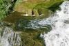 <img100*0:stuff/z/169023/fallsm/i1279903062_10.jpg>