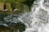<img100*0:stuff/z/169023/fallsm/i1279903062_11.jpg>