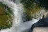 <img100*0:stuff/z/169023/fallsm/i1279903062_13.jpg>