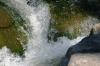 <img100*0:stuff/z/169023/fallsm/i1279903062_7.jpg>