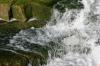 <img100*0:stuff/z/169023/fallsm/i1279903063_17.jpg>
