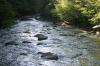 <img100*0:stuff/z/169023/fallsm/i1279903064_26.jpg>