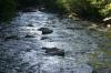 <img100*0:stuff/z/169023/fallsm/i1279903065_37.jpg>