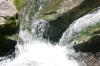 <img100*0:stuff/z/169023/fallsz/i1279906084_2.jpg>