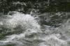 <img100*0:stuff/z/169023/fallsz/i1279906086_18.jpg>