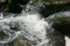 <img100*0:stuff/z/169023/fallsz/i1279906086_20.jpg>