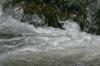 <img100*0:stuff/z/169023/fallsz/i1279906087_29.jpg>