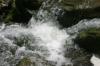 <img100*0:stuff/z/169023/fallsz/i1279906087_38.jpg>