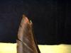 <img100*0:stuff/z/169023/feathers20/i1258577763_14.jpg>