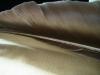 <img100*0:stuff/z/169023/feathers20/i1258577763_19.jpg>