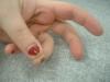 <img100*0:stuff/z/169023/fingers1/i1259710439_1.jpg>