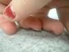 <img100*0:stuff/z/169023/fingers1/i1259710440_16.jpg>