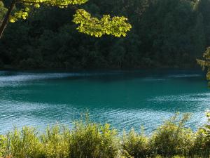 <img300*0:stuff/z/169023/green%2520lakes%25202/i1248133279_16.jpg>