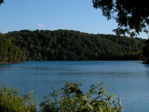 <img300*0:stuff/z/169023/green%2520lakes%25202/i1248133279_18.jpg>