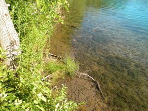<img300*0:stuff/z/169023/green%2520lakes%25202/i1248133279_21.jpg>