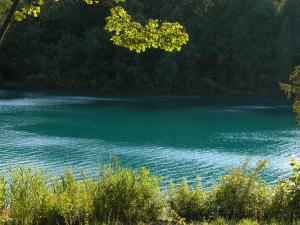 <img300*0:stuff/z/169023/green%2520lakes%25202/i1248133279_22.jpg>