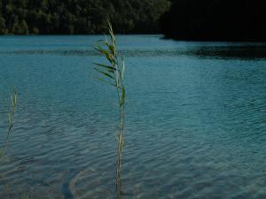 <img300*0:stuff/z/169023/green%2520lakes%25202/i1248133279_25.jpg>