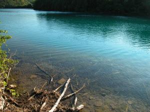 <img300*0:stuff/z/169023/green%2520lakes%25202/i1248133280_26.jpg>