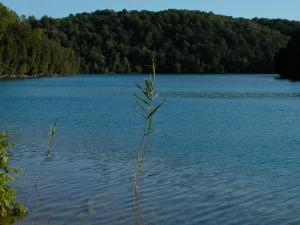 <img300*0:stuff/z/169023/green%2520lakes%25202/i1248133280_31.jpg>