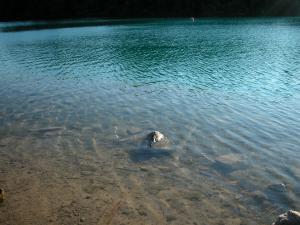 <img300*0:stuff/z/169023/green%2520lakes%25202/i1248133281_37.jpg>