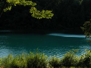 <img300*0:stuff/z/169023/green%2520lakes%25202/i1248133281_40.jpg>