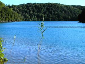 <img300*0:stuff/z/169023/green%2520lakes%25202/i1248368927_4.jpg>