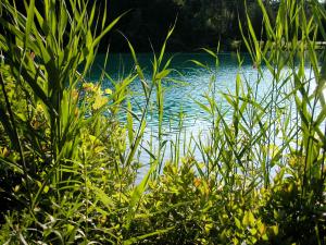 <img300*0:stuff/z/169023/green%2520lakes%25202/i1248368927_6.jpg>