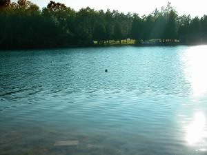 <img300*0:stuff/z/169023/green%2520lakes%25202/i1248368927_8.jpg>