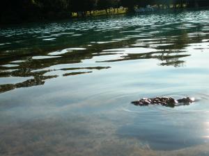 <img300*0:stuff/z/169023/green%2520lakes%25202/i1248368928_10.jpg>