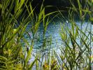 Green Lakes