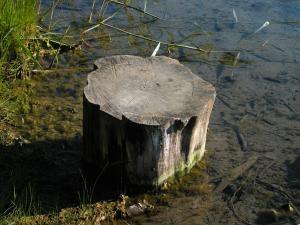 <img300*0:stuff/z/169023/green%2520lakes%25202/i1248368929_27.jpg>
