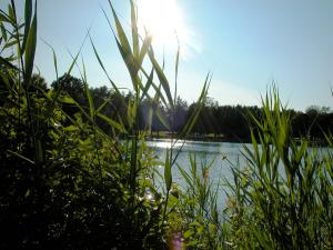 <img300*0:stuff/z/169023/green%2520lakes%25202/i1248368929_29.jpg>