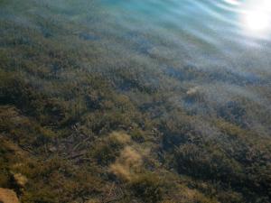 <img300*0:stuff/z/169023/green%2520lakes%25202/i1248368929_30.jpg>