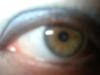 <img100*0:stuff/z/169023/izzbiz/i1265755179_10.jpg>